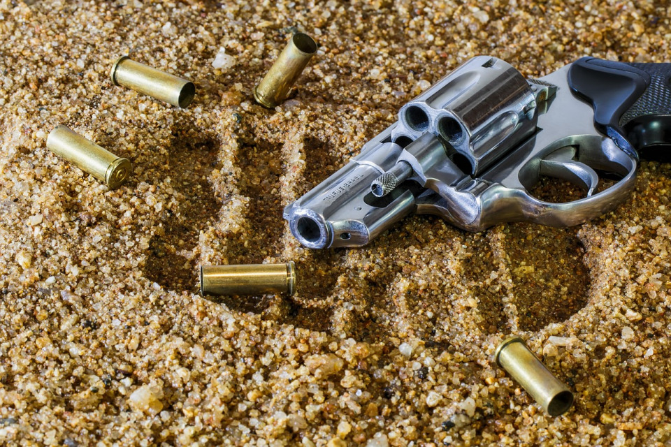 firearm training