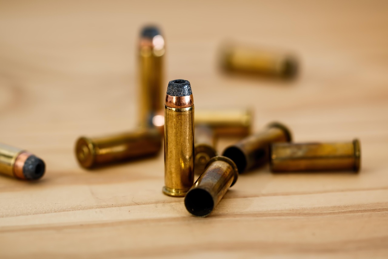 firearm training